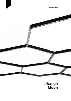 Brouchure-Nemen-Mesh2021